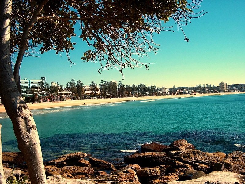 Manly beach, l'un des plus belles plages de Sydney