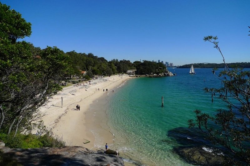 Shark Beach