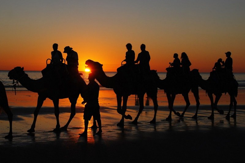 Une balade sur la plage en chameaux c'est uniquement sur la côte ouest d'Australie
